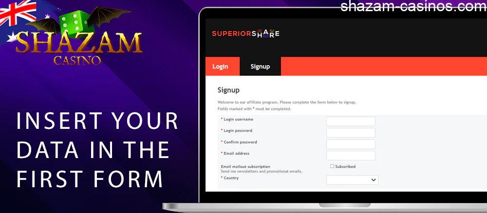 In the first form, insert your data to become a Shazam partner